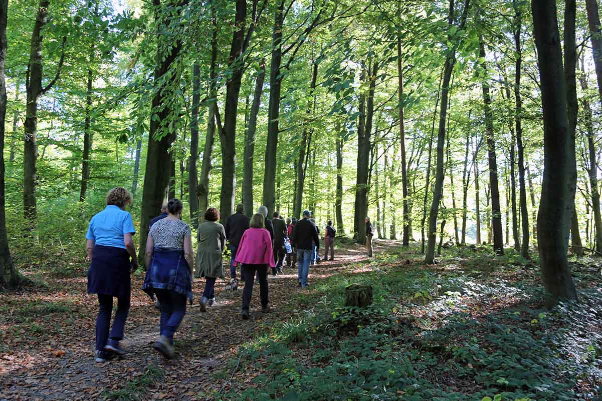 Wandergruppe im Wald der Schwäbischen Alb