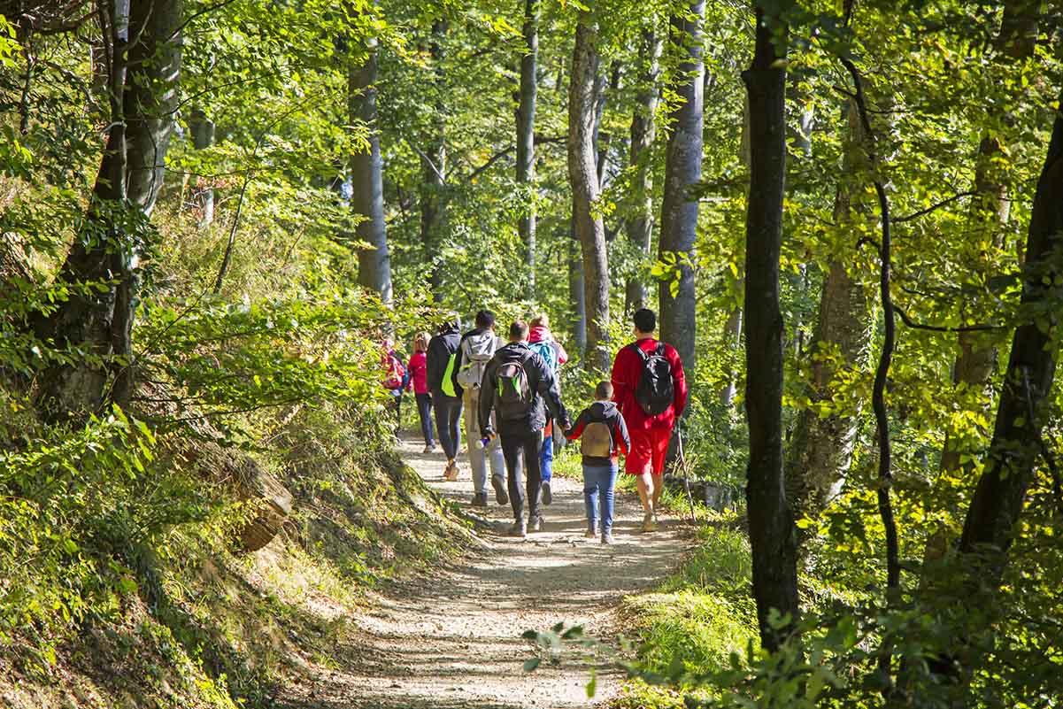 Wanderweg auf der Schwäbischen Alb