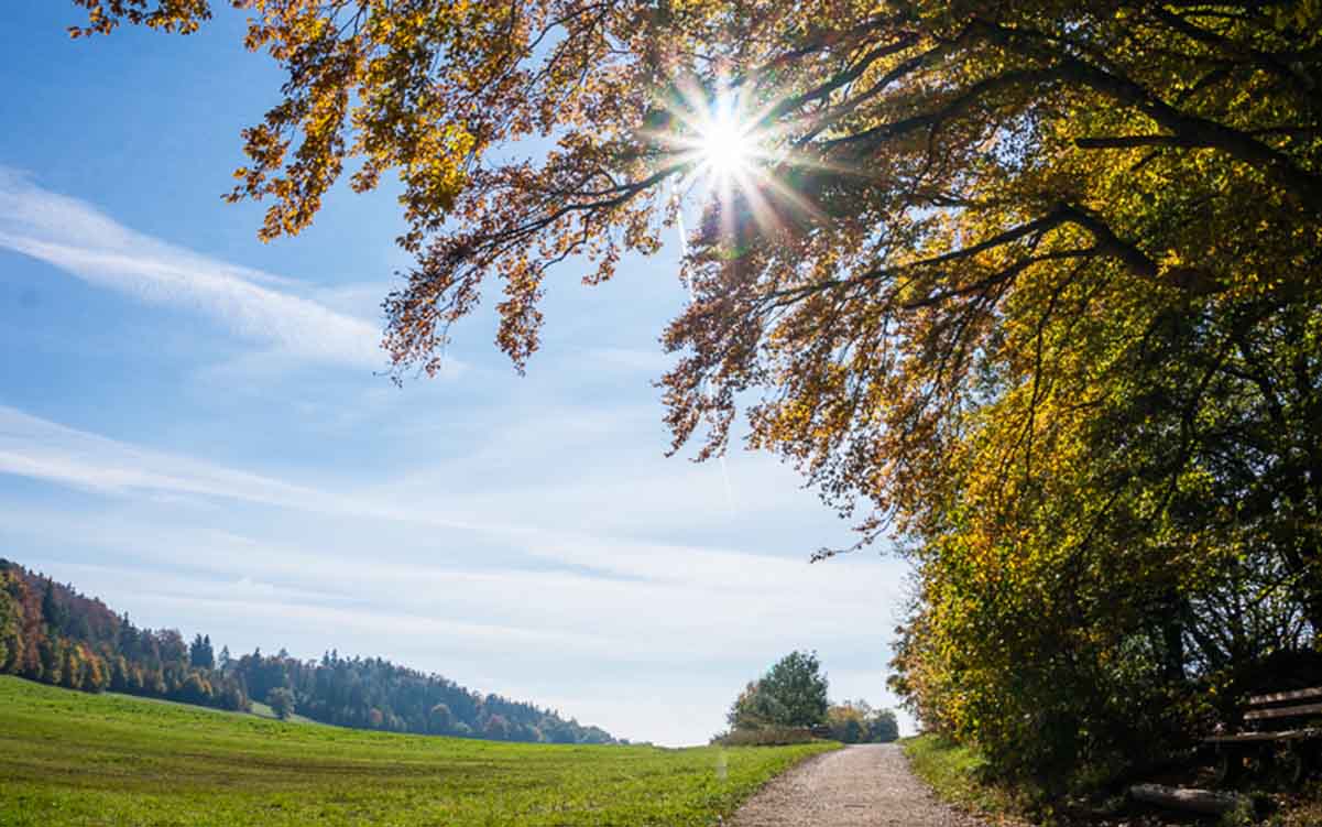 Wetter Schwäbische Alb